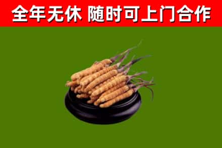岳普湖县烟酒回收冬虫夏草.jpg