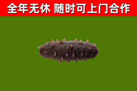 岳普湖县烟酒回收干海参.jpg